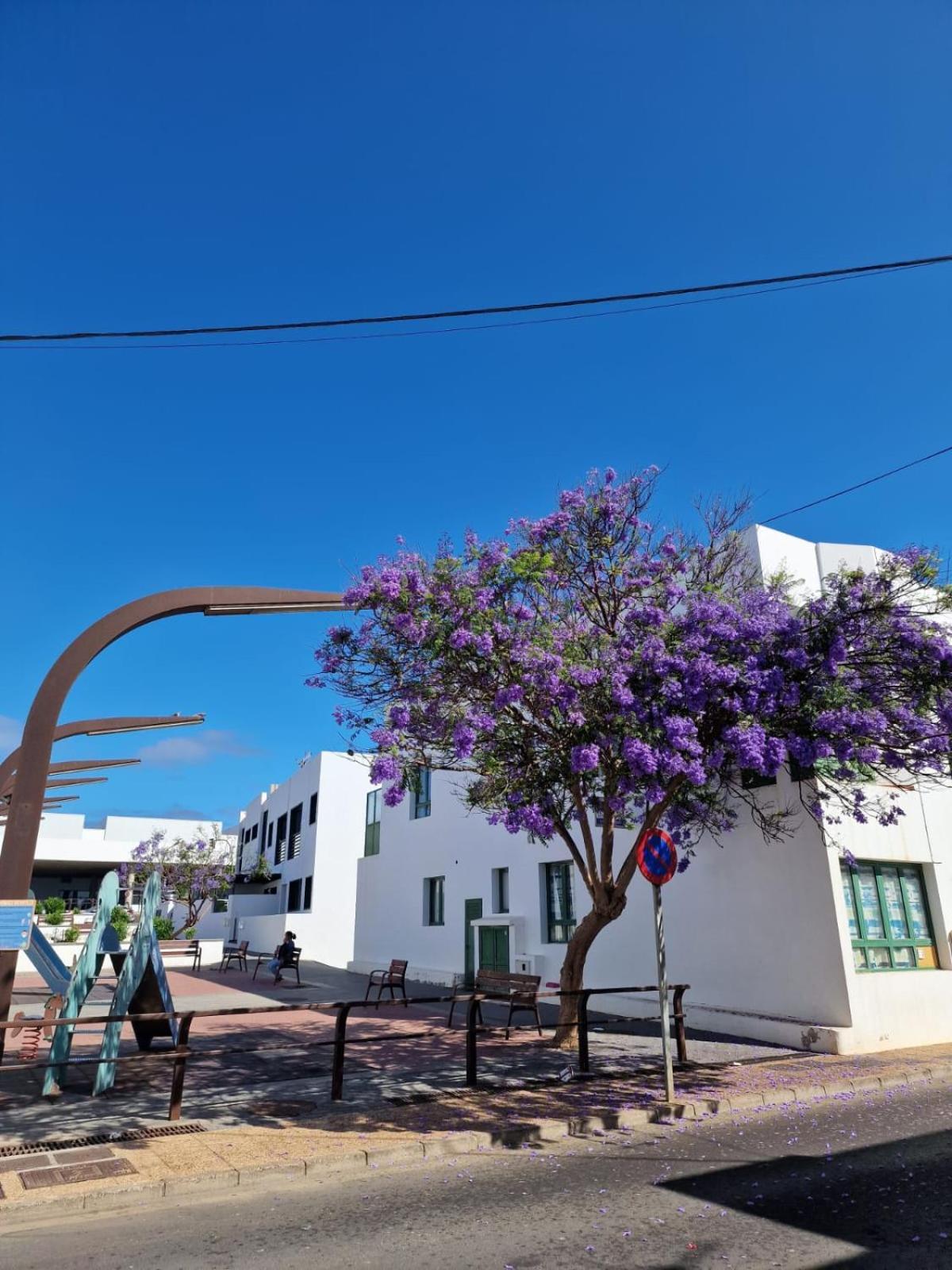 Apartamento Margarita Playa Blanca  Exterior photo